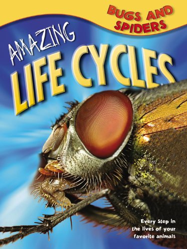 Bugs & Spiders (Amazing Life Cycles) (9781848988590) by McGavin, George C