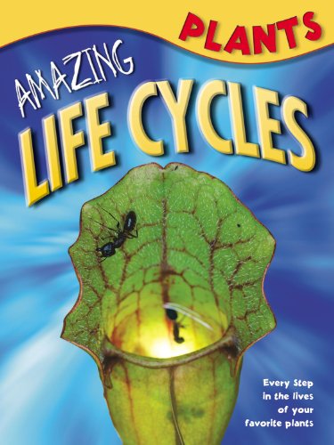 9781848988613: Amazing Life Cycles: Plants