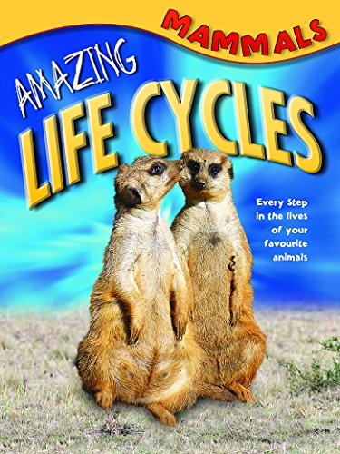 9781848989405: Amazing Life Cycles: Mammals