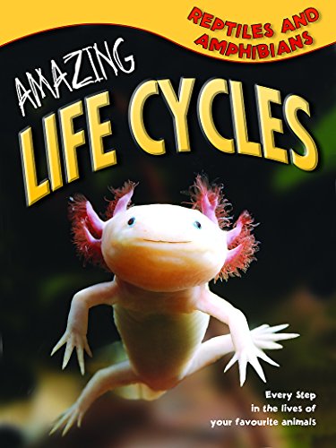 9781848989412: Amazing Life Cycles: Reptiles and Amphibians