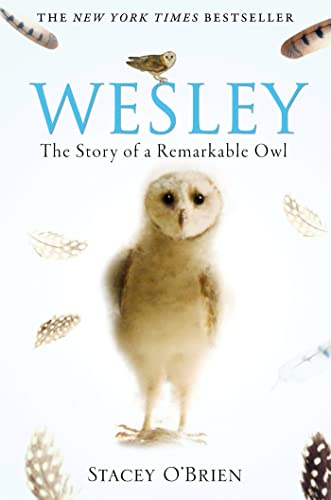 Beispielbild fr Wesley: The Story of a Remarkable Owl zum Verkauf von WorldofBooks