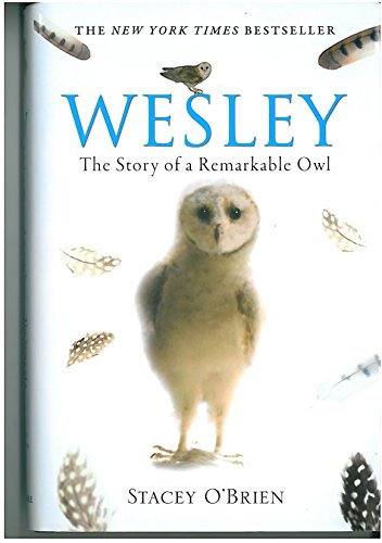 Beispielbild fr Wesley: The Story of a Remarkable Owl zum Verkauf von WorldofBooks