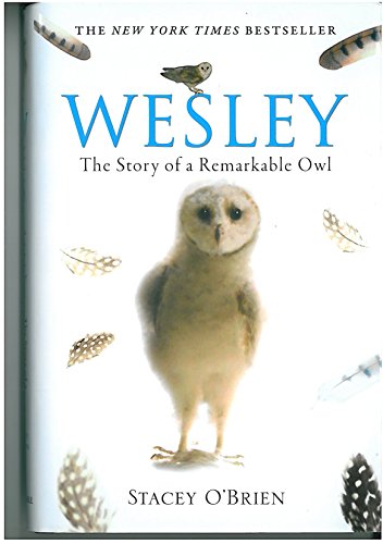 Stock image for Wesley: The Story of a Remarkable Owl for sale by Reuseabook
