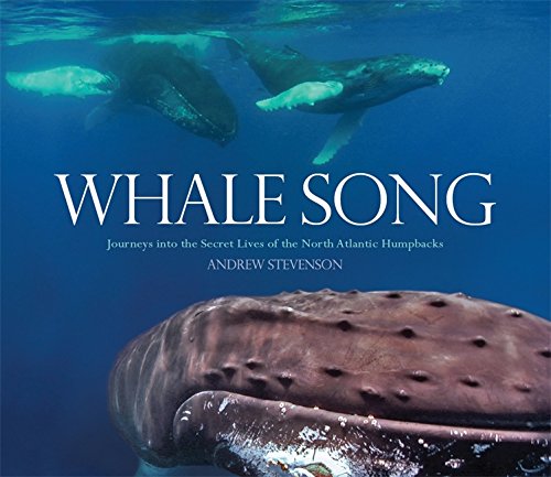 Imagen de archivo de Whale Song : Journeys into the Secret Lives of the North Atlantic Humpbacks a la venta por Better World Books