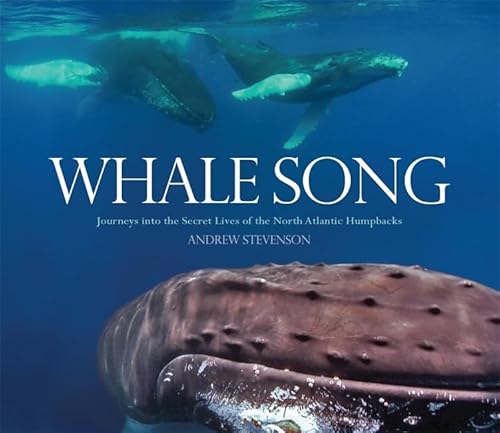 Stock image for Whale Song : Journeys into the Secret Lives of the North Atlantic Humpbacks for sale by Better World Books