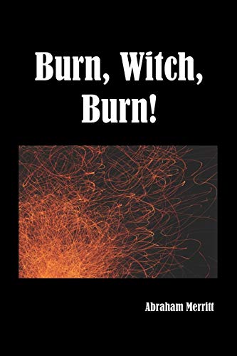 9781849025478: Burn Witch Burn!