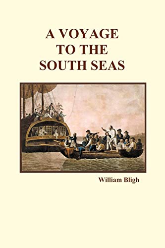 9781849028776: A Voyage to the South Seas (Paperback)