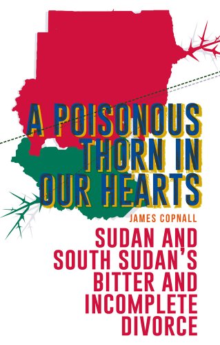 Imagen de archivo de A Poisonous Thorn in Our Hearts : Sudan and South Sudan's Bitter and Incomplete Divorce a la venta por Better World Books