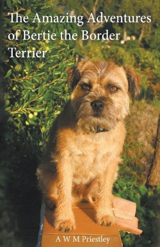 Beispielbild fr The Amazing Adventures of Bertie the Border Terrier zum Verkauf von MusicMagpie