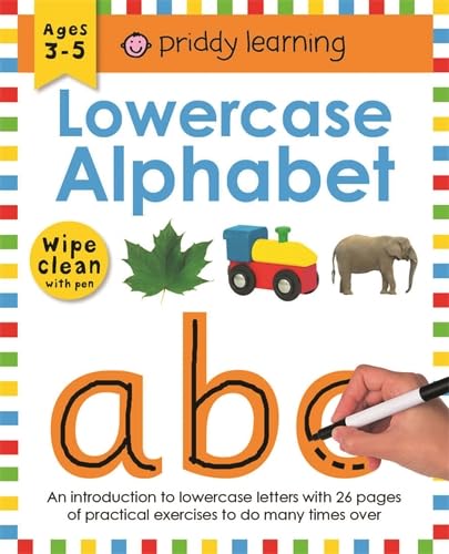 9781849151535: Wipe Clean Work Books: Lowercase Alphabet