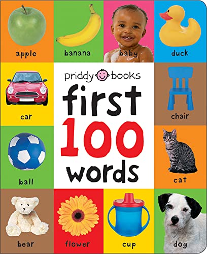 9781849154208: First 100 Words: A Padded Board Book (First 100 Soft To Touch)