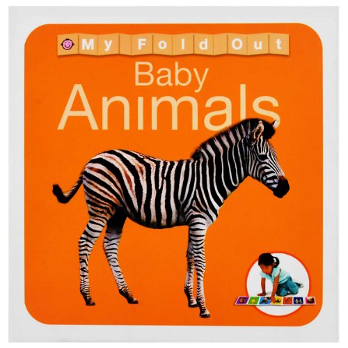 9781849154338: Animals (My Fold Out Books): Fold Out Floor Books