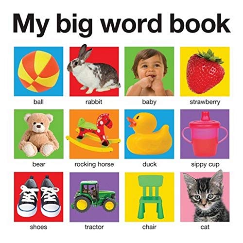 Beispielbild fr My Big Word Book (My Big Board Books): My Big Books zum Verkauf von WorldofBooks