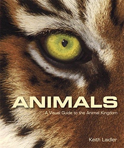 9781849160049: Animals: A Visual Guide to the Animal Kingdom
