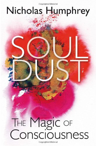 9781849162371: Soul Dust: The Magic of Consciousness