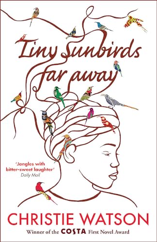 Beispielbild fr Tiny Sunbirds Far Away zum Verkauf von AwesomeBooks