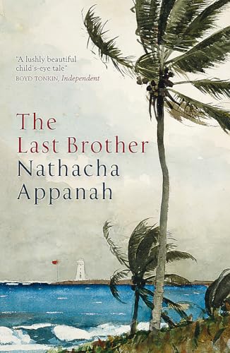 Imagen de archivo de The Last Brother a la venta por WorldofBooks