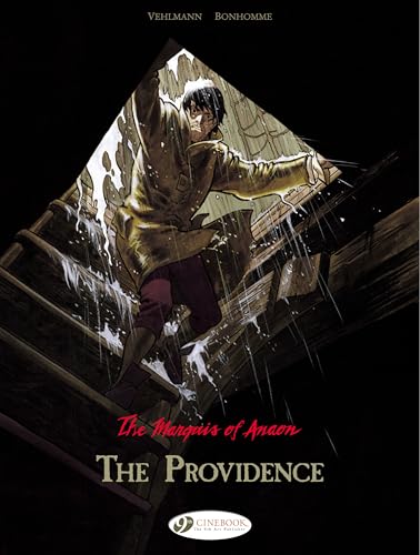 Imagen de archivo de The Providence a la venta por Blackwell's