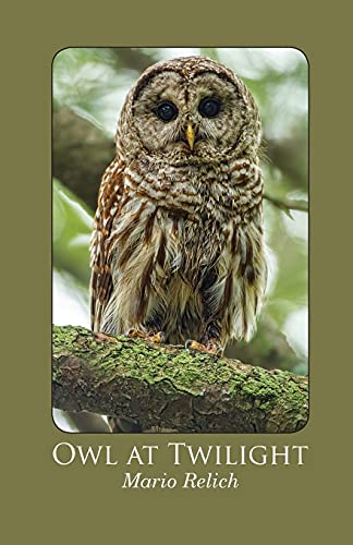 Imagen de archivo de Owl at Twilight a la venta por Lucky's Textbooks