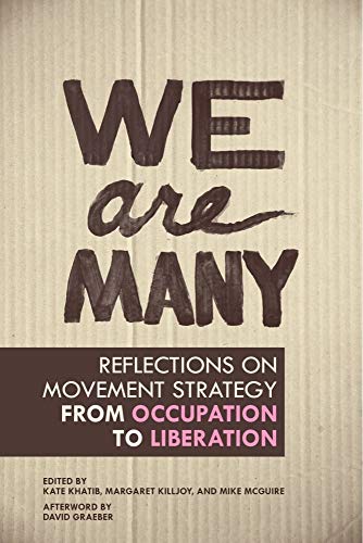 9781849351164: We are Many: Reflections on Movement Strategy from Occupation to Liberation