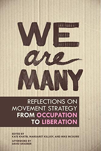 Stock image for We Are Many: Reflections on Movement Strategy from Occupation to Liberation for sale by HPB-Emerald