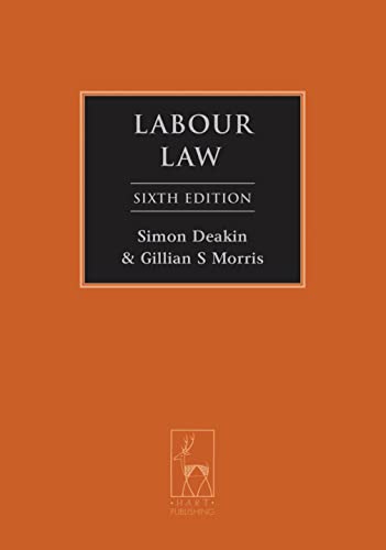 9781849463416: Labour Law