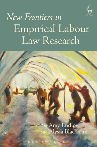 9781849466783: New Frontiers of Empirical Labour Law Research