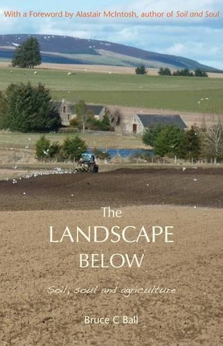 9781849523219: The Landscape Below: Soil, Soul and Agriculture