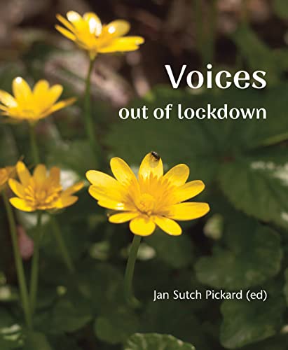 Stock image for Voices Out of Lockdown for sale by PBShop.store US