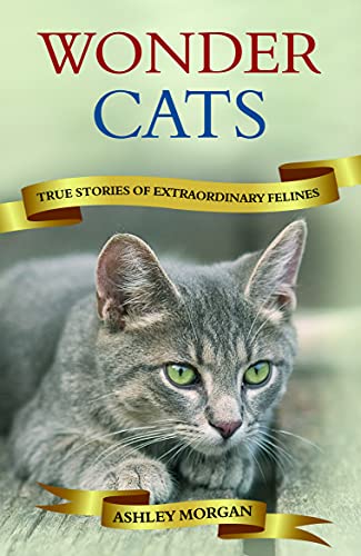 Beispielbild fr Wonder Cats: True Tales of Extraordinary Felines zum Verkauf von WorldofBooks
