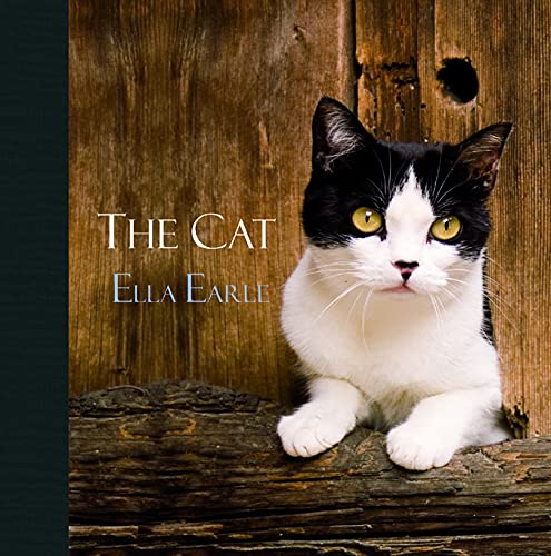 Imagen de archivo de The Cat a la venta por WorldofBooks