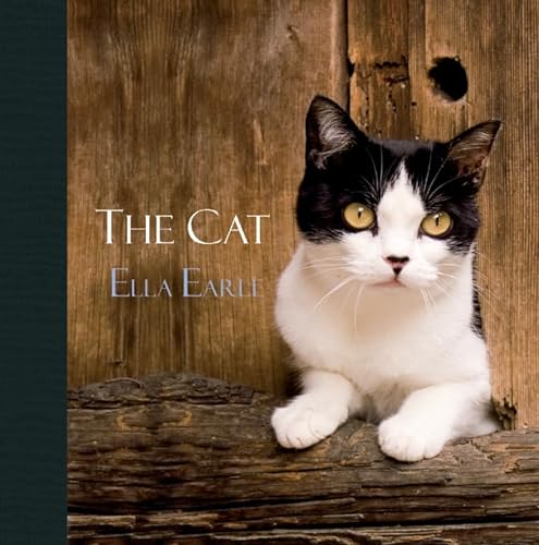 Stock image for The Cat for sale by Better World Books