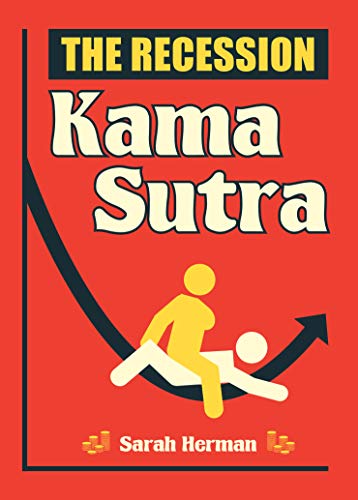 9781849533171: The Recession Kama Sutra (Wit)