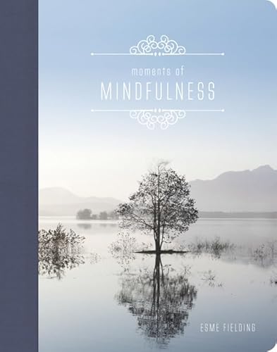 Beispielbild fr Moments of Mindfulness zum Verkauf von Better World Books