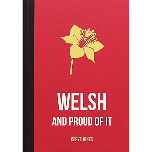 9781849535243: Welsh and Proud of It