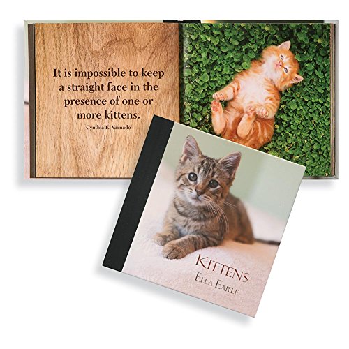 Beispielbild fr Kittens zum Verkauf von Wonder Book