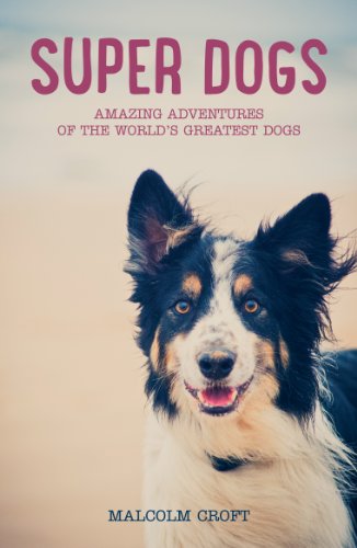 Stock image for Super Dogs: Heart-warming Adventures of the World's Greatest Superdogs: Heart-Warming Stories of the World's Greatest Dogs for sale by WorldofBooks