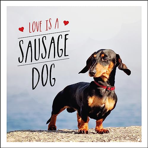 Stock image for Love Is a Sausage Dog for sale by SecondSale