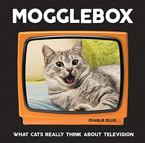Beispielbild fr Mogglebox: What Cats Really Think About Television zum Verkauf von AwesomeBooks