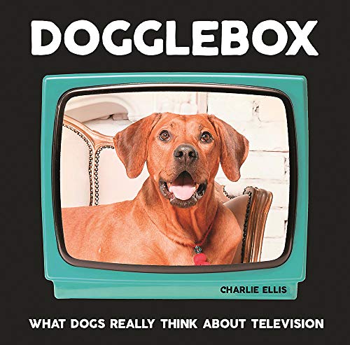 Beispielbild fr Dogglebox: What Dogs Really Think About Television zum Verkauf von WorldofBooks