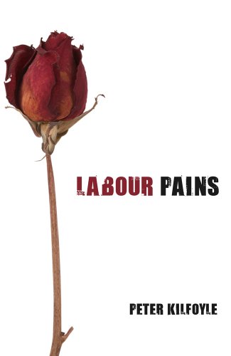 Beispielbild fr Labour Pains: How the party I love lost its soul zum Verkauf von WorldofBooks