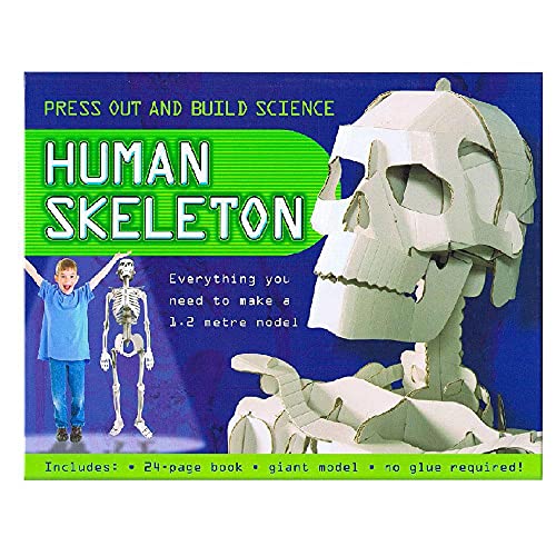 9781849567282: Press Out and Build Human Skeleton