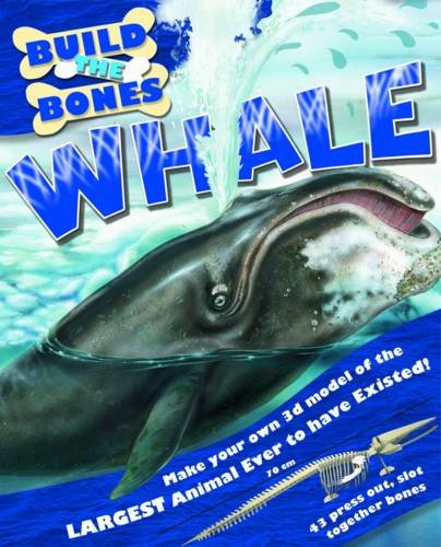 Stock image for Whale (Build the Bones) for sale by AwesomeBooks