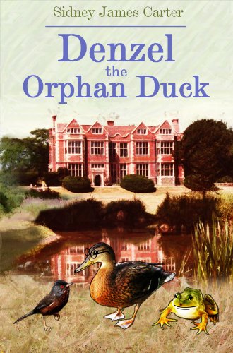 Beispielbild fr Denzel the orphan duck zum Verkauf von WorldofBooks