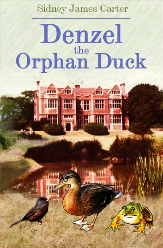 9781849633703: Denzel the orphan duck