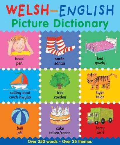 9781849671132: Welsh-English Picture Dictionary