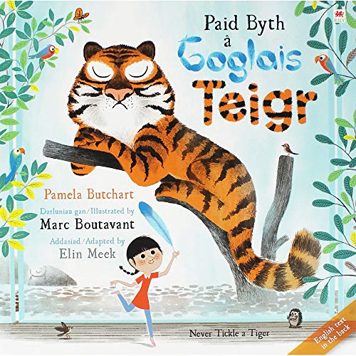 Imagen de archivo de Paid Byth  Goglais Teigr/Never Tickle a Tiger a la venta por Better World Books Ltd