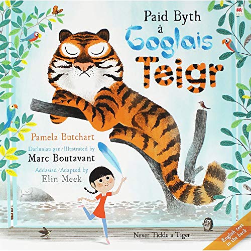 Stock image for Paid Byth  Goglais Teigr/Never Tickle a Tiger for sale by Better World Books Ltd