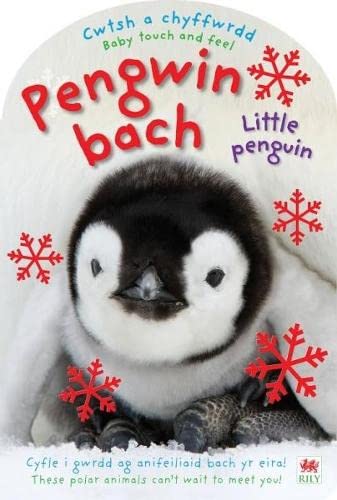 9781849673013: Cwtsh a Chyffwrdd: Pengwin Bach / Baby Touch and Feel: Little Penguin