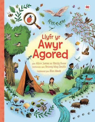 Stock image for Llyfr yr Awyr Agored for sale by WorldofBooks